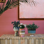 Hk Living - Keramik - Blomsterkrukke - Rosefield